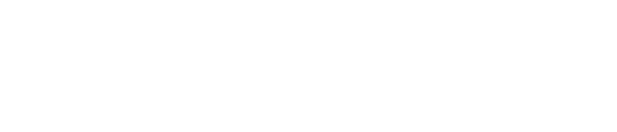 SAY HIRED! Executive & Human Resources Consultant